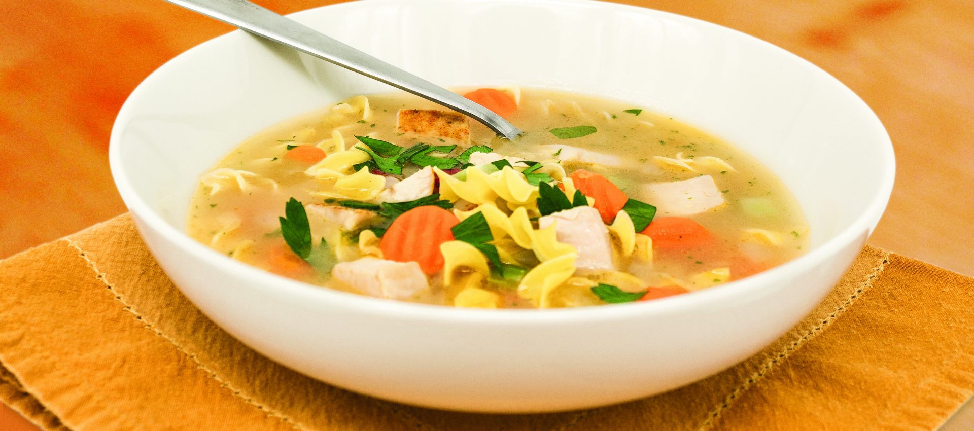 IMG_2043_V0R0_F-1920x850 Turkey Noodle Soup